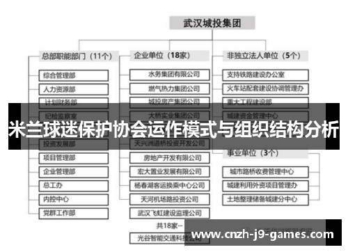 米兰球迷保护协会运作模式与组织结构分析